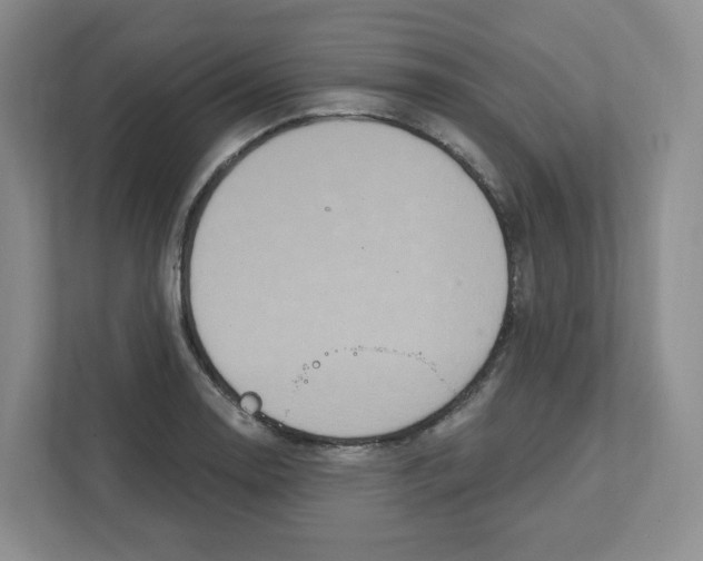 X0000111831130200908201145