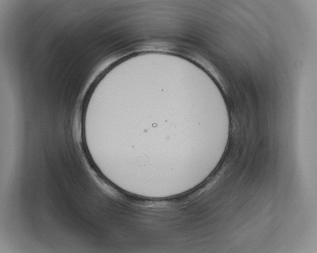 X0000111831131200908201145