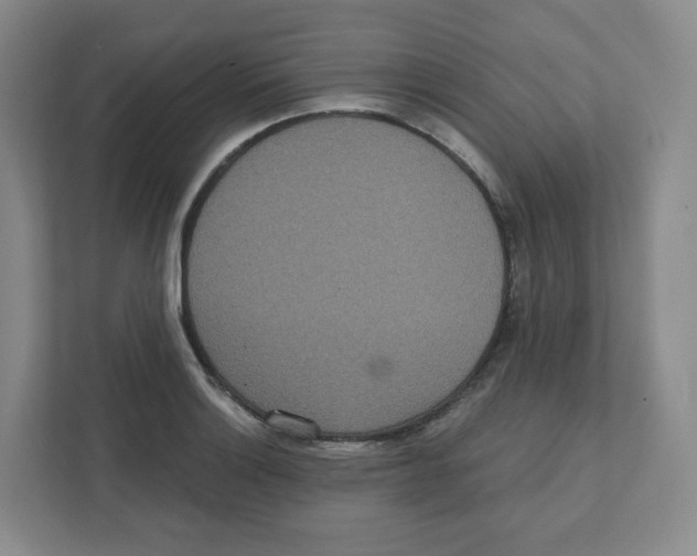 X0000111831132200908201145