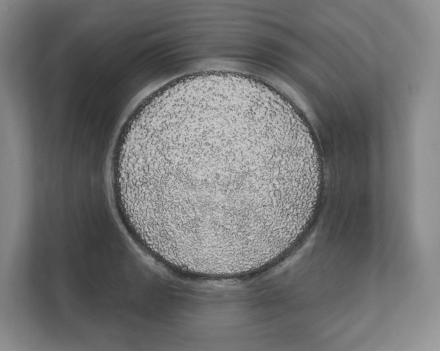 X0000111831133200908201145