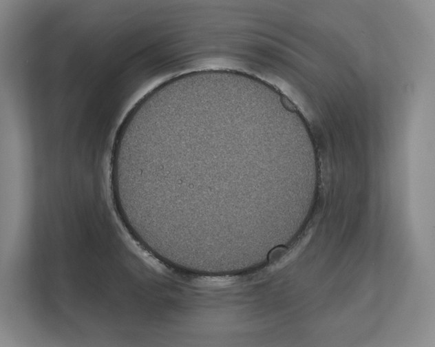 X0000111831134200908201145