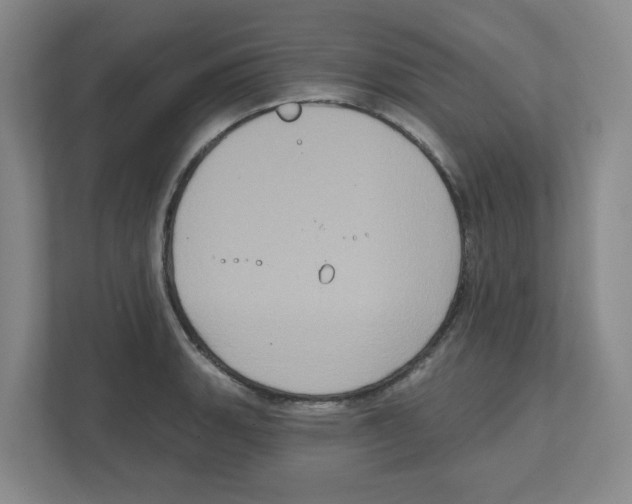 X0000111831135200908201145