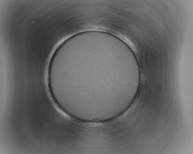 X0000111831136200908201145