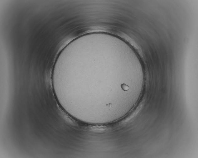 X0000111831137200908201145