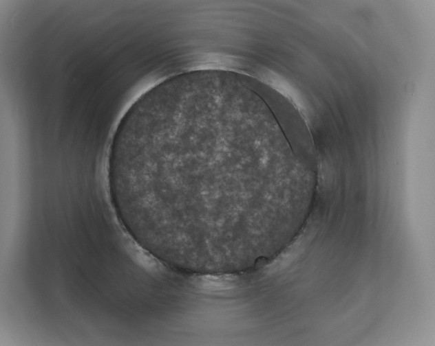 X0000111831138200908201145