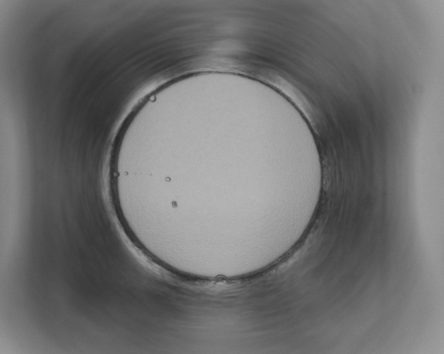 X0000111831139200908201145