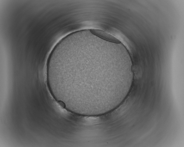 X0000111831140200908201145