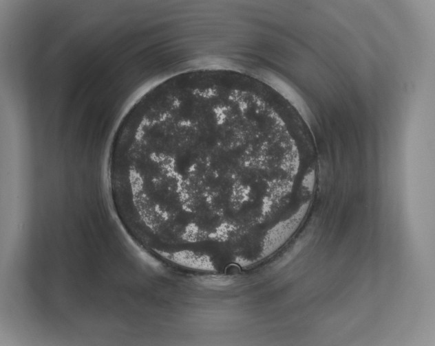 X0000111831141200908201145