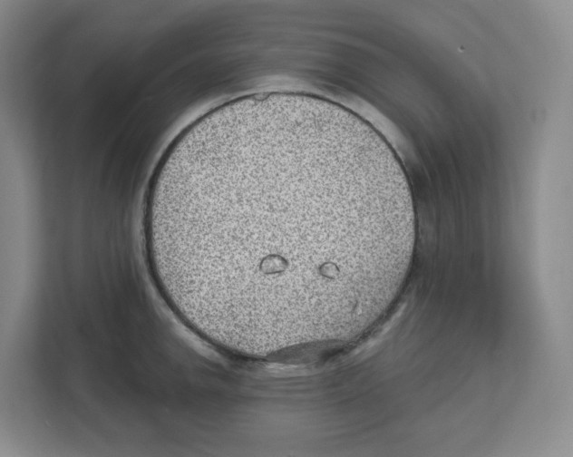 X0000111831142200908201145