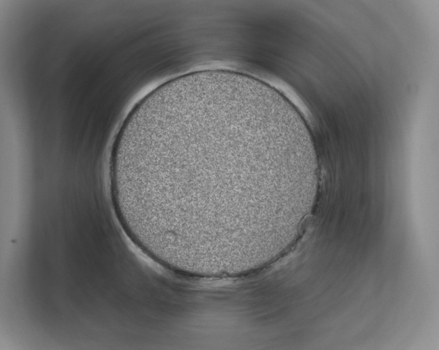 X0000111831143200908201145