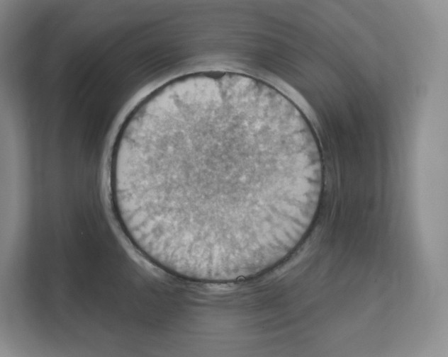 X0000111831144200908201146