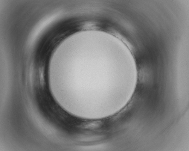 X0000111831150200908201146