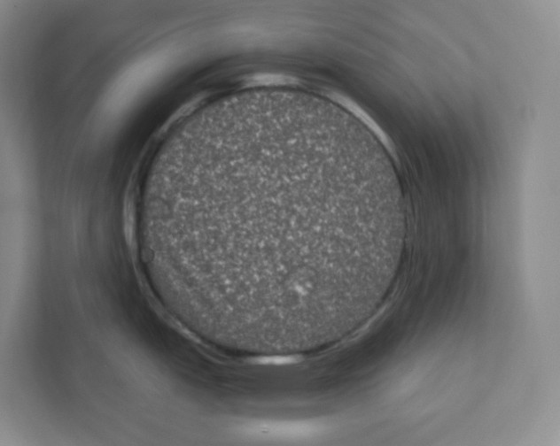 X0000111831151200908201146