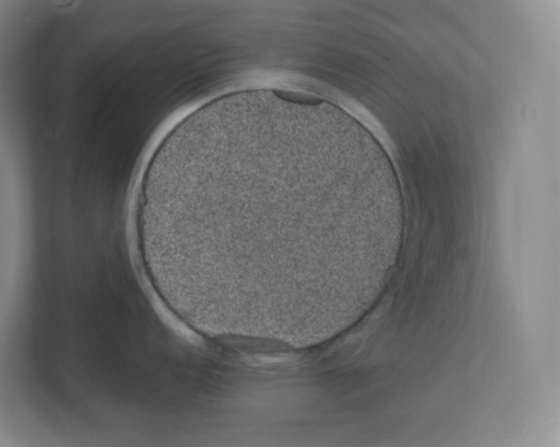 X0000111831152200908201146