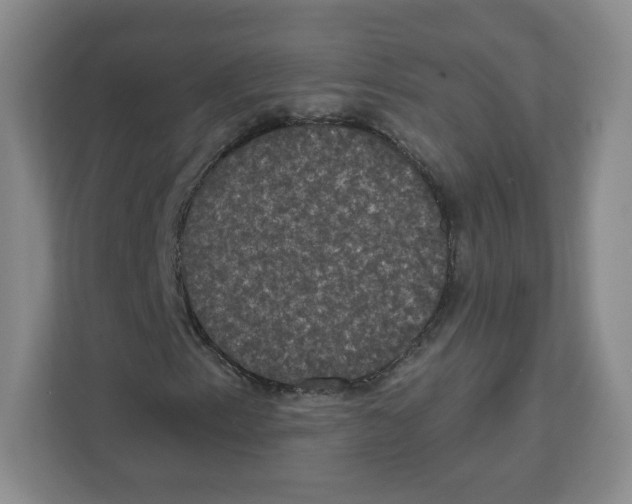 X0000111831153200908201145