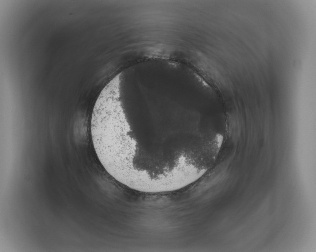 X0000111831154200908201145