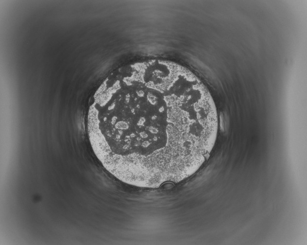 X0000111831155200908201145