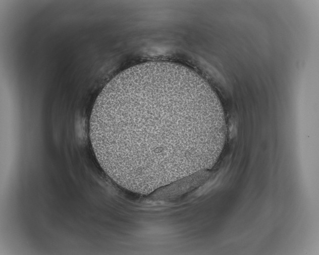 X0000111831156200908201145