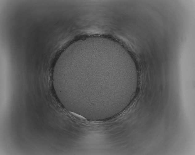 X0000111831157200908201145