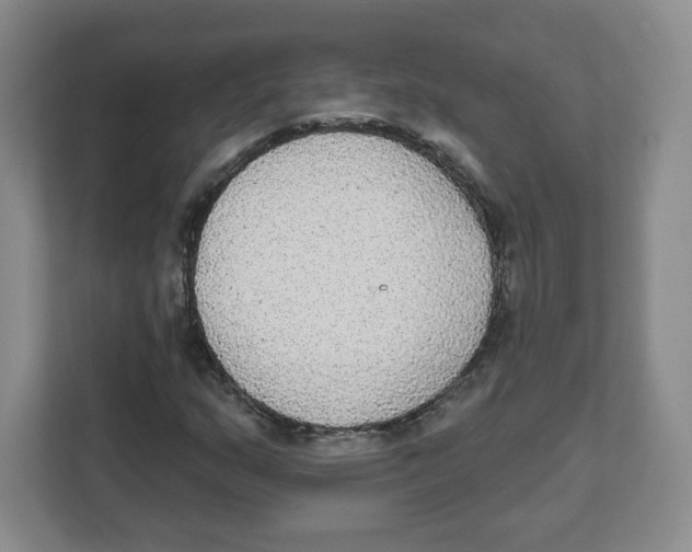 X0000111831159200908201145