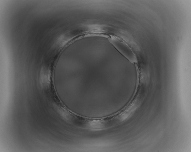 X0000111831161200908201145