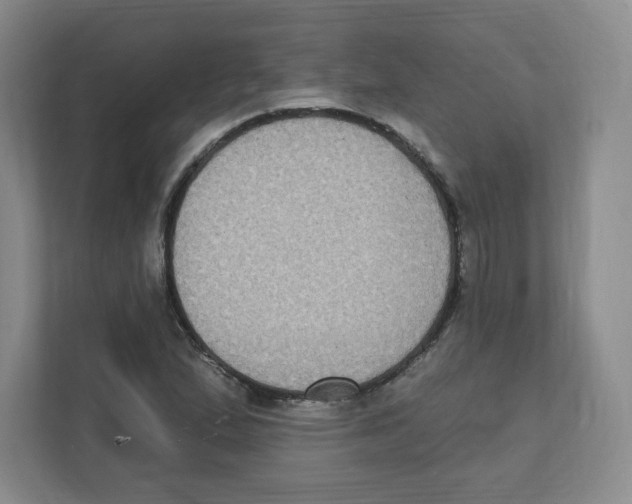 X0000111831167200908201145