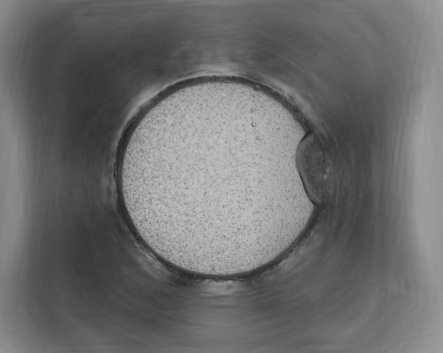 X0000111831168200908201145