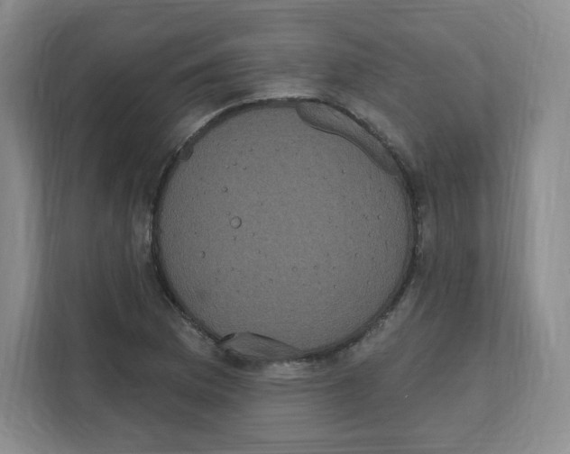 X0000111831169200908201145