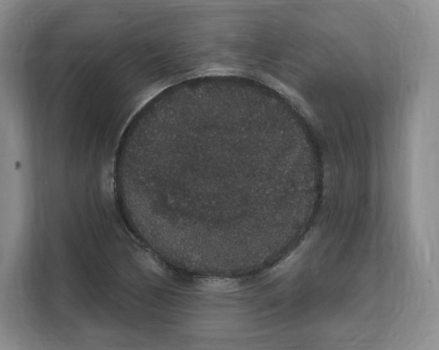 X0000111831170200908201145