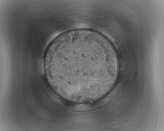 X0000111831171200908201145