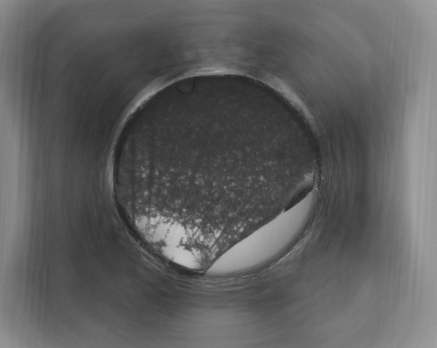 X0000111831173200908201145