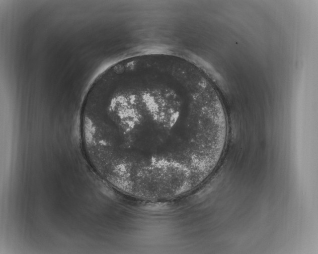 X0000111831174200908201145