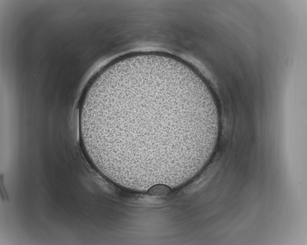 X0000111831175200908201145