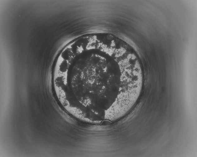 X0000111831179200908201145