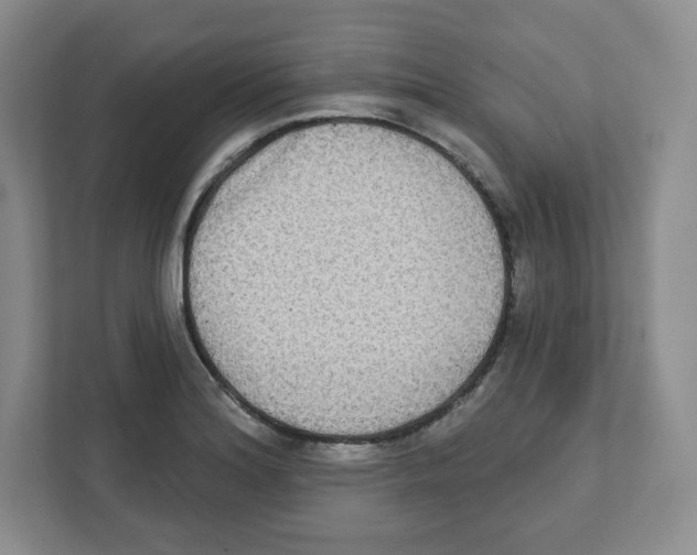 X0000111831180200908201145