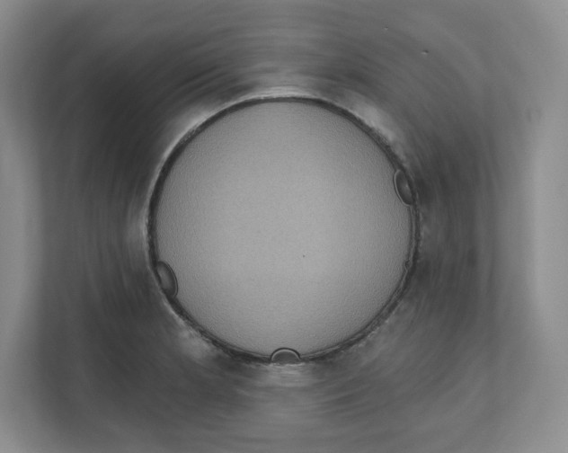 X0000111831181200908201145