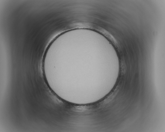 X0000111831182200908201145