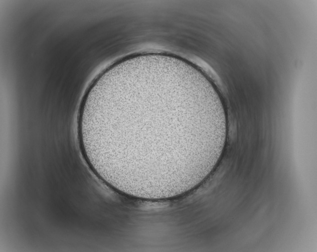 X0000111831183200908201145