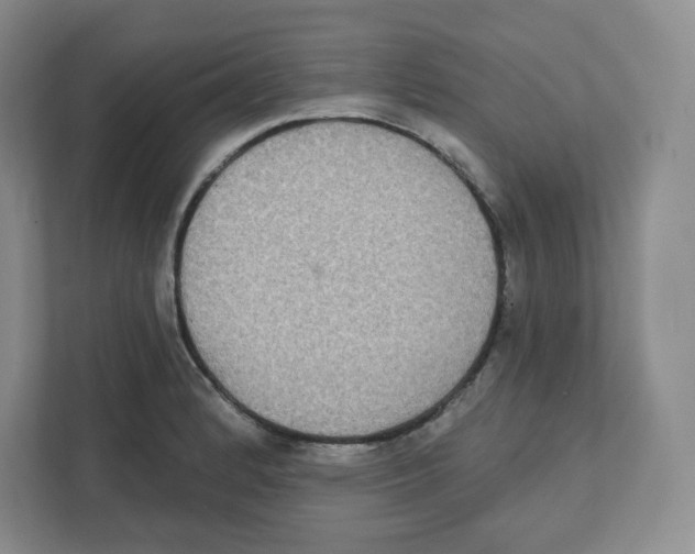 X0000111831184200908201145