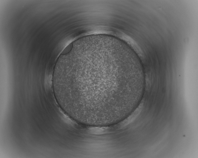 X0000111831185200908201145