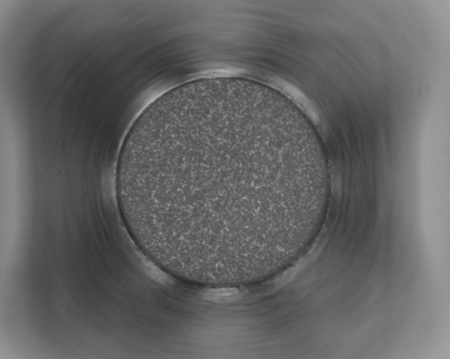 X0000111831186200908201145