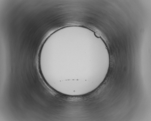 X0000111831187200908201145