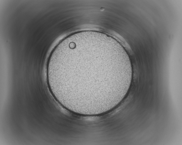 X0000111831188200908201145