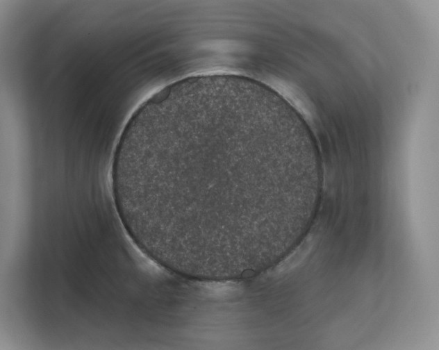 X0000111831189200908201145