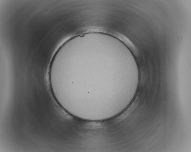 X0000111831190200908201144