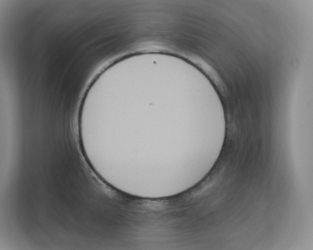 X0000111831191200908201144