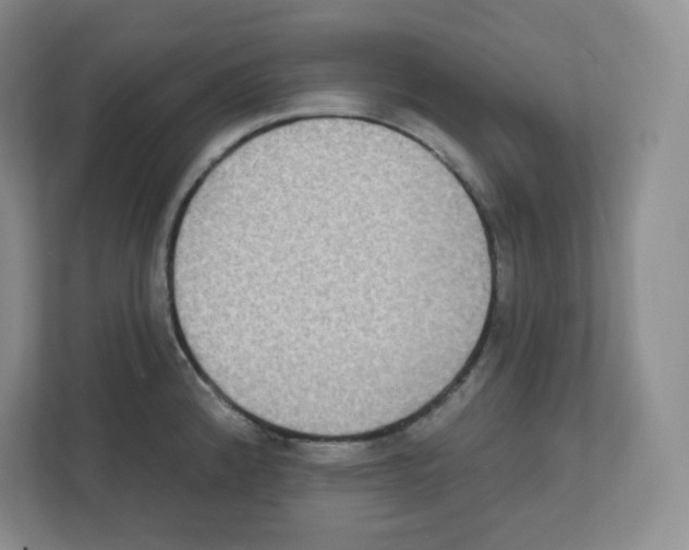 X0000111831192200908201144