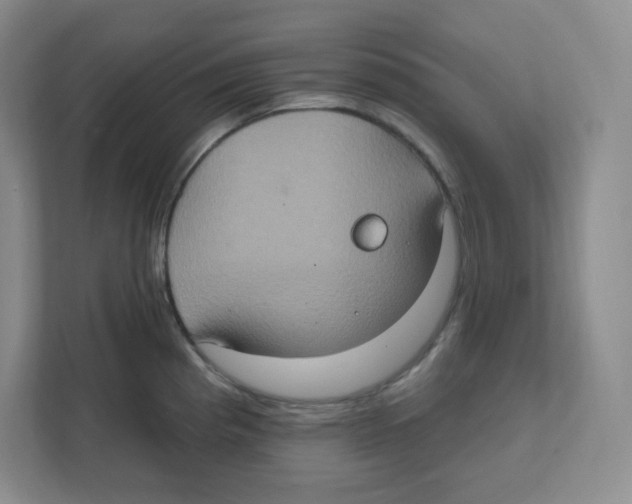 X0000111831193200908201144