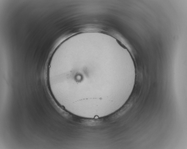 X0000111831195200908201144