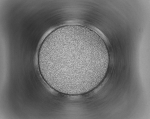 X0000111831196200908201144